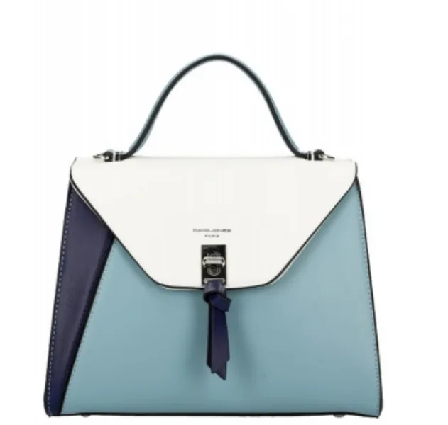 David Jones Colorblock Satchel