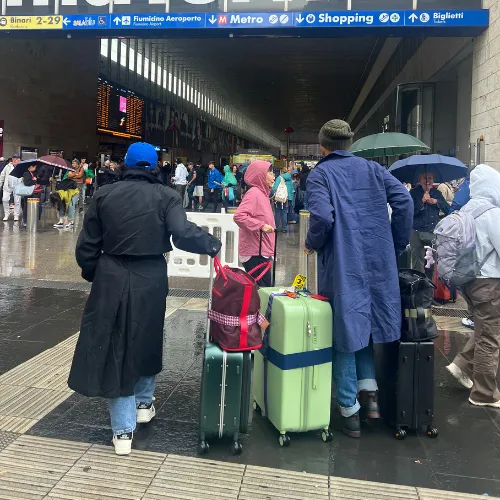 Luggage Straps - Hyacinth