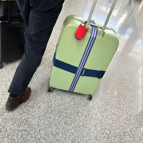Luggage Straps - Hyacinth
