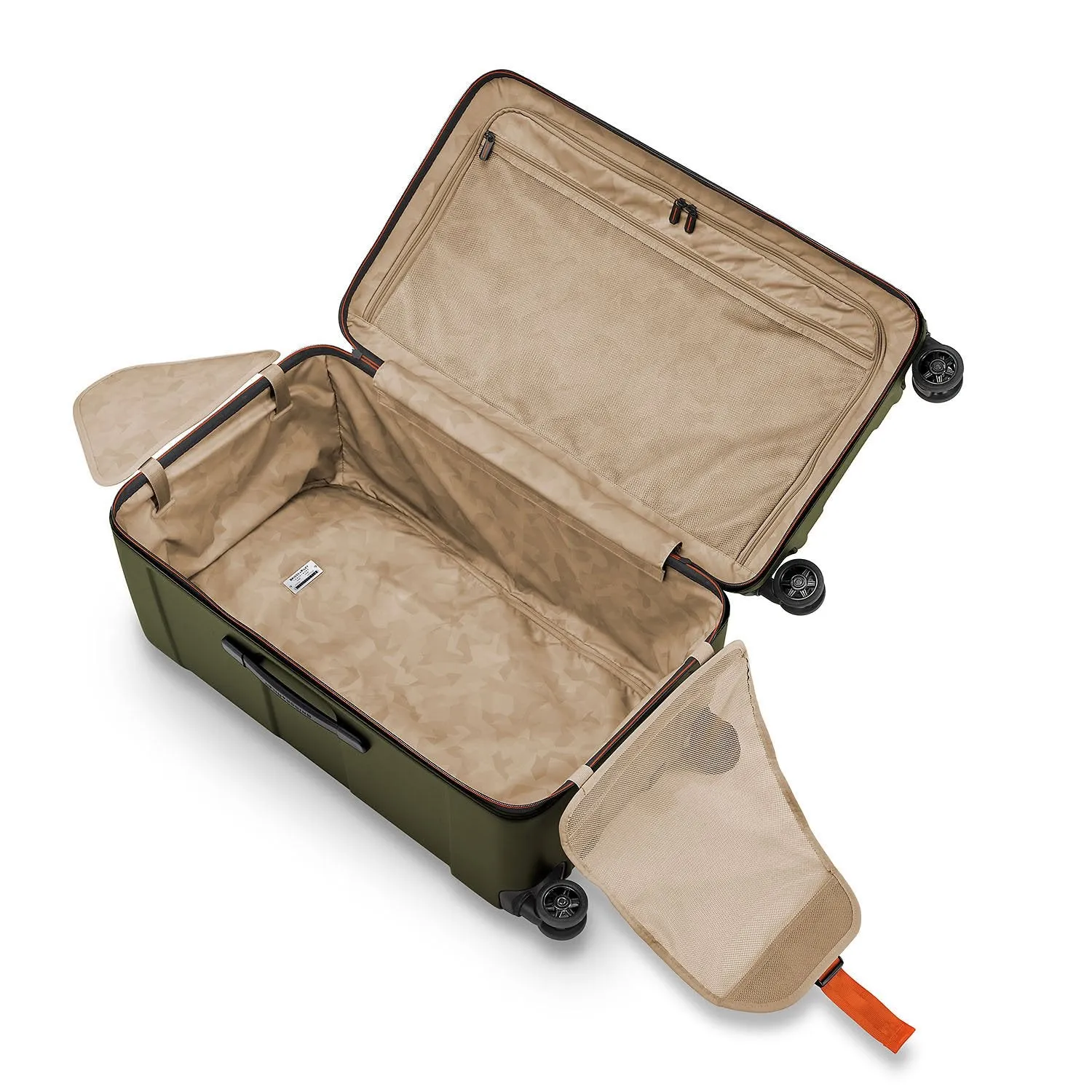Medium Trunk Spinner - Torq Collection