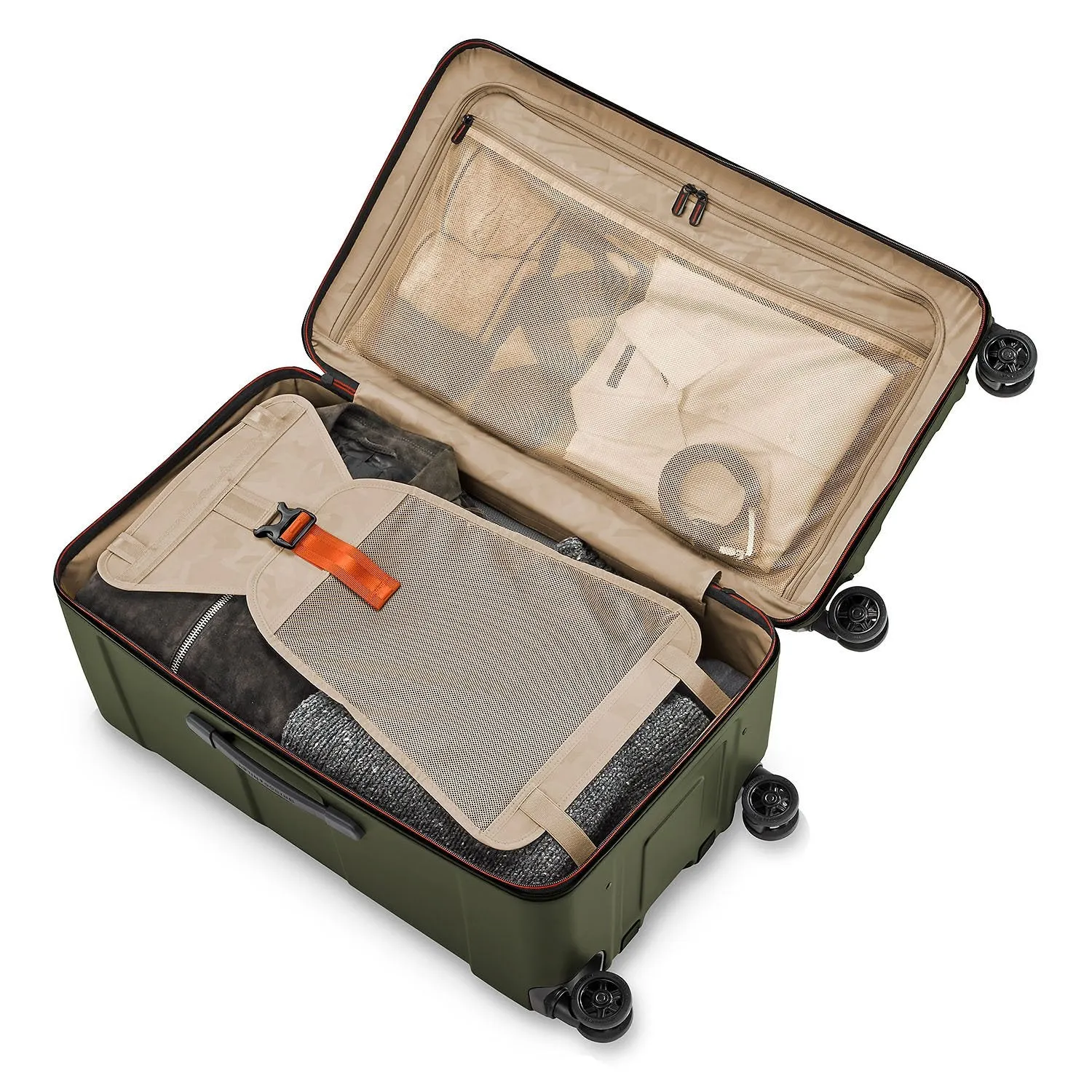 Medium Trunk Spinner - Torq Collection