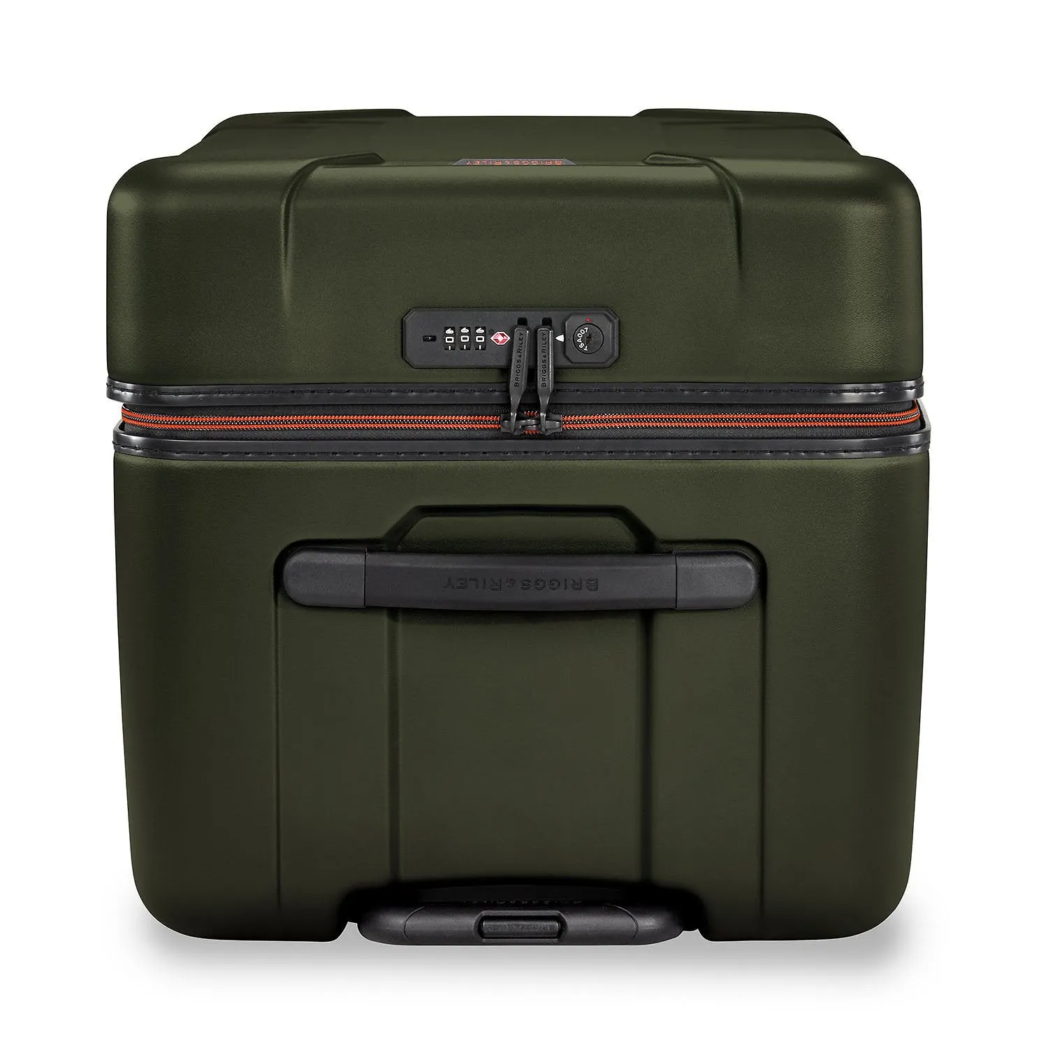 Medium Trunk Spinner - Torq Collection
