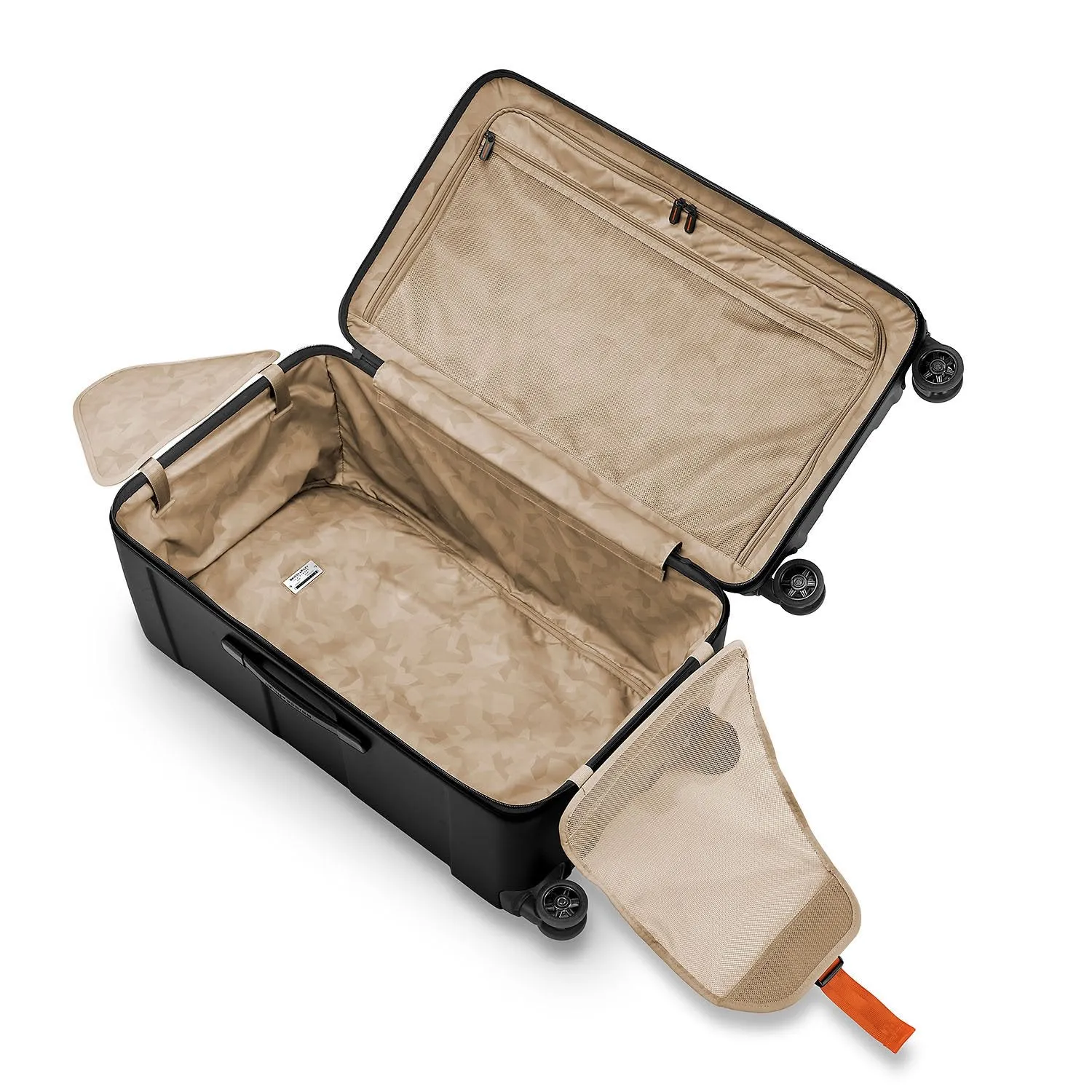 Medium Trunk Spinner - Torq Collection
