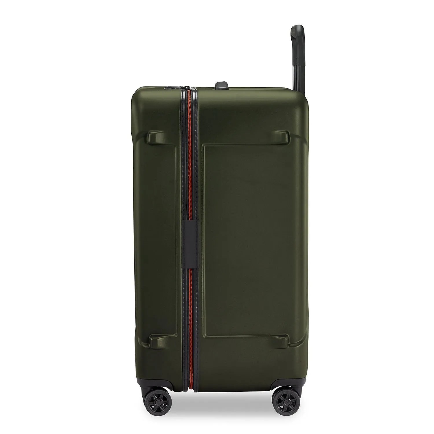 Medium Trunk Spinner - Torq Collection